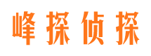 德城市场调查